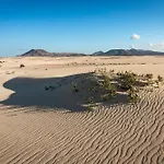 Acoran Beach Corralejo By Sea You There Fuerteventura