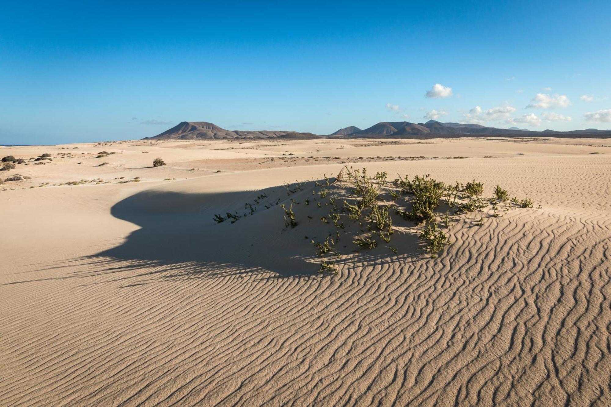Acoran By Sea There Fuerteventura *